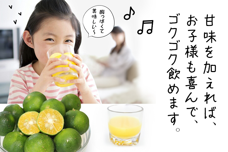 家族で飲みたいまるごと100％シークヮーサー500ml×2本(パウチタイプ）