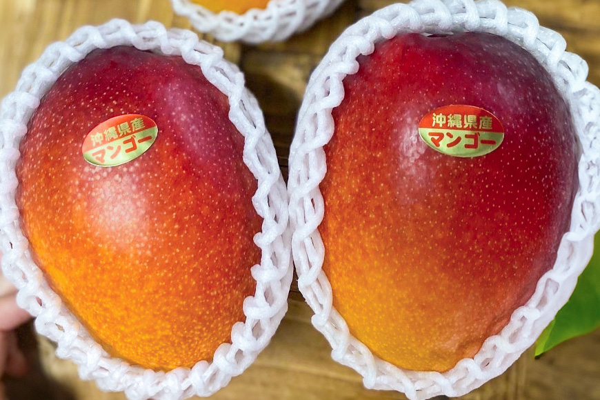 【2026年発送】【令和5年度優秀賞受賞】でーじマンゴーのアップルマンゴー2kg(秀品) 26-2