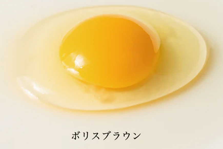 上原養鶏場のはっこう卵　3種食べ比べMS~Lサイズ 55個+破卵保障5個