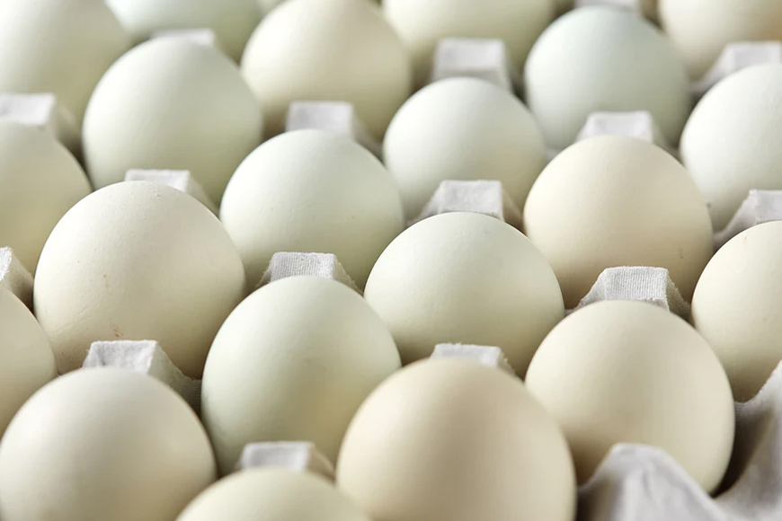 上原養鶏場のはっこう卵(アローカナ）S~Lサイズ 55個+破卵保障5個