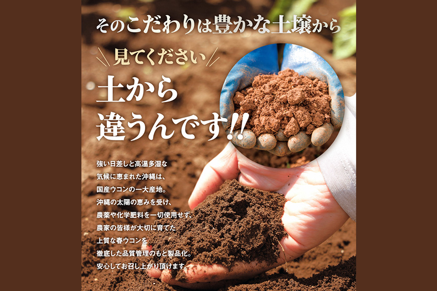 【金秀バイオ】春ウコン粒900粒 　6袋セット　180日分（約6ヶ月分）