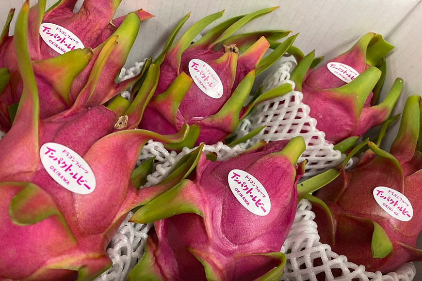 【2026年発送】糸満市産　「ドラゴンフルーツ　インパクトルビー　赤」2kg　（4～7玉） 78-2