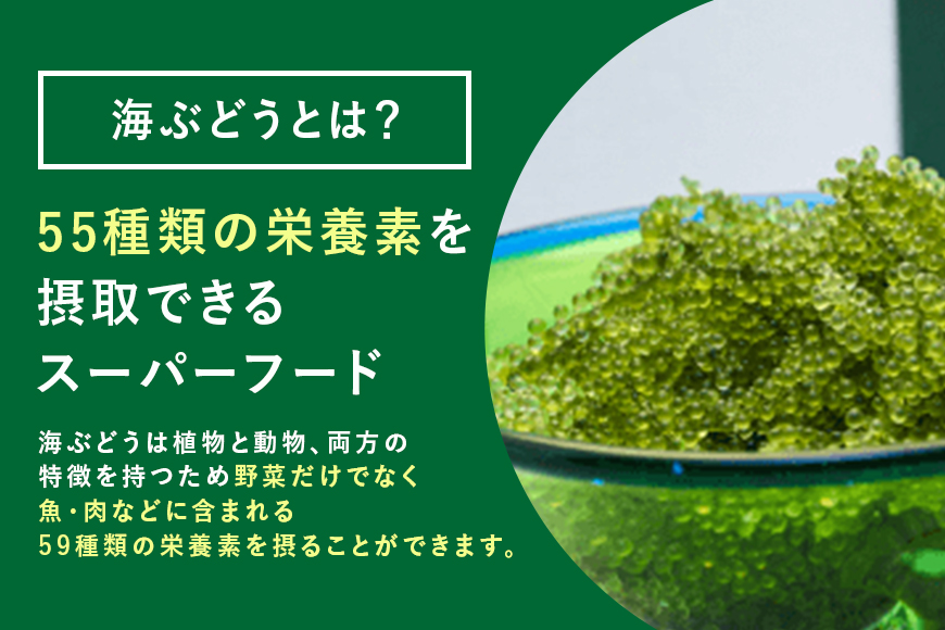 【訳あり】しゃきしゃき海ぶどう400g