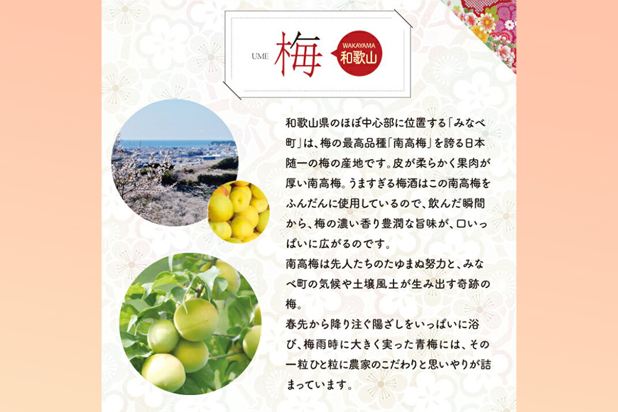 まさひろ梅酒６本セット