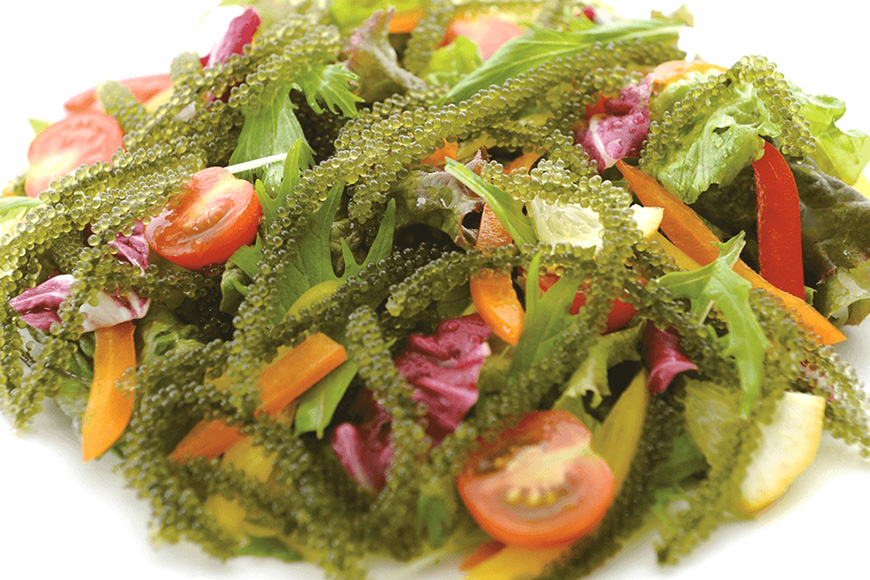 【訳あり】ぷちぷち海ぶどう小分けセット