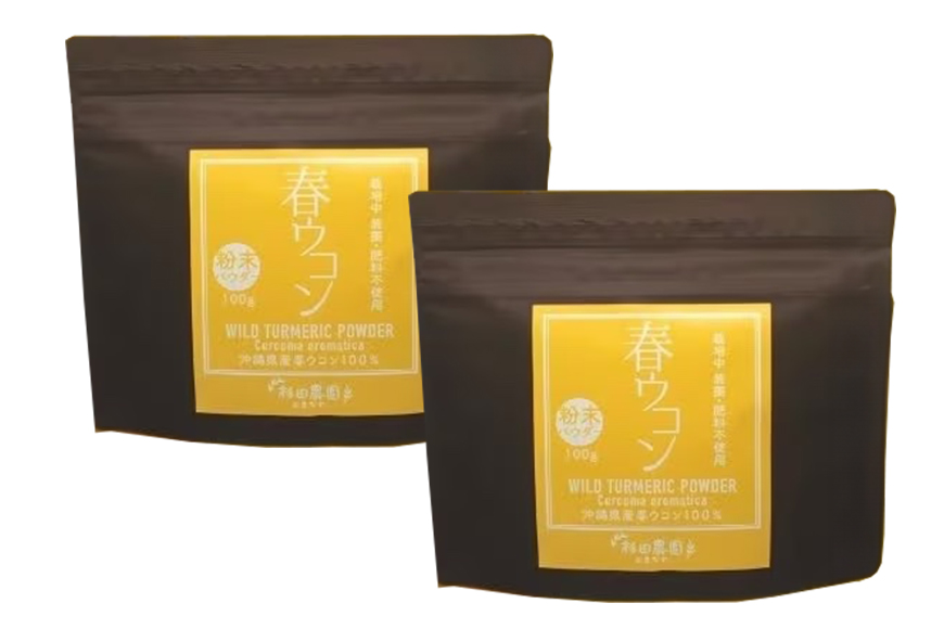 沖縄県糸満産　春ウコン粉末１００g　２個セット