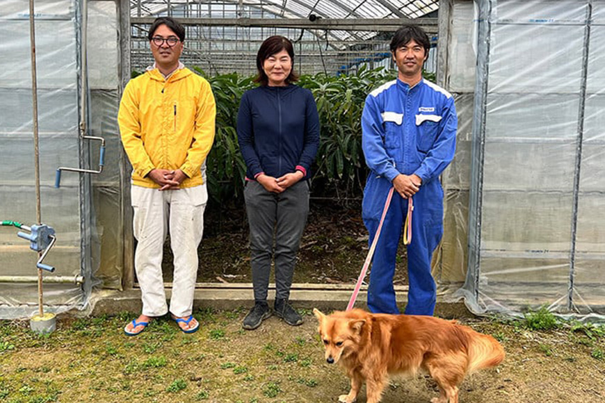 【2026年発送】【令和5年度最優秀賞受賞】縁sファームのアップルマンゴー1kg（秀品） 43-4