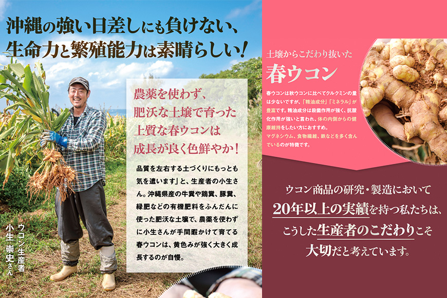 【金秀バイオ】春ウコン粒900粒 　6袋セット　180日分（約6ヶ月分）