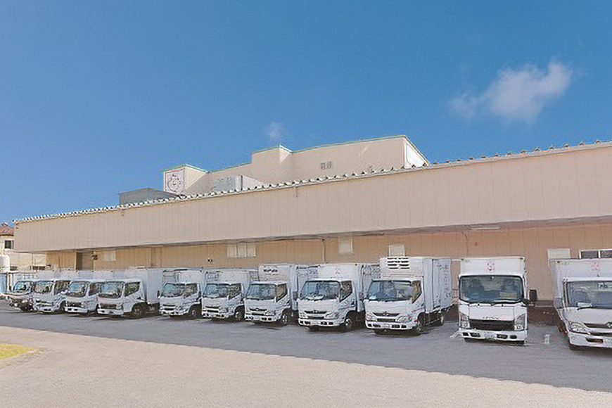 沖縄そばの老舗サン食品からお届け！ソーキそば（半生麺）12食セット