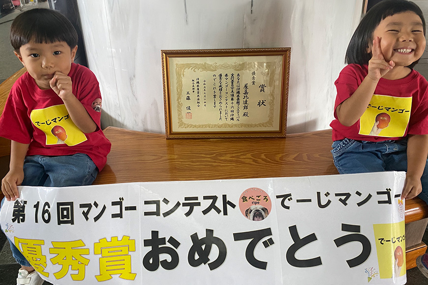 【2026年発送】【令和5年度優秀賞受賞】でーじマンゴーアップルマンゴー1kg(秀品) 26-3