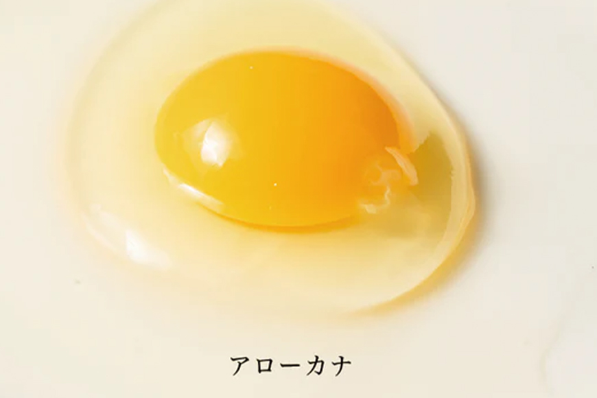 上原養鶏場のはっこう卵　3種食べ比べMS~Lサイズ 55個+破卵保障5個