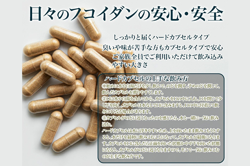 【金秀バイオ】日々のフコイダン　1箱（31袋入り）31日分（約1ヶ月分）