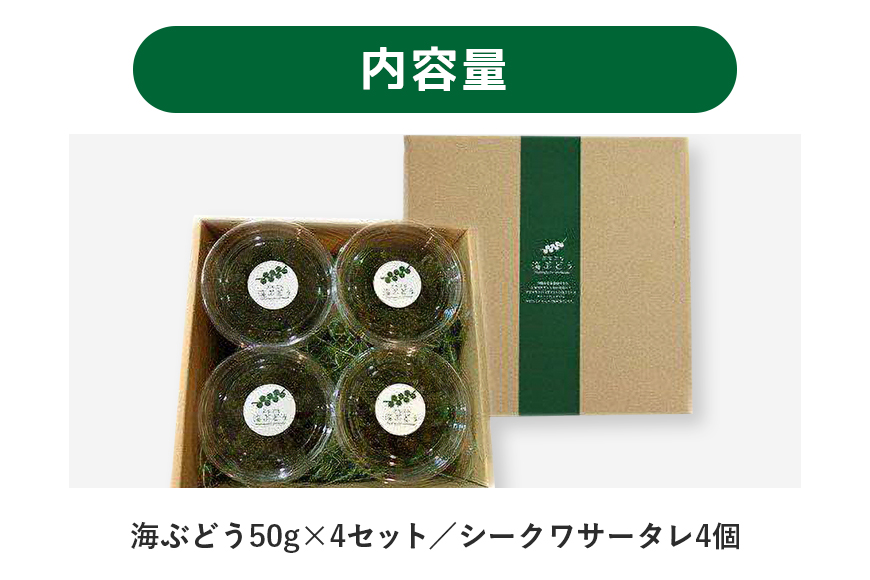 朝採れ！ぷちぷち海ぶどう小分けセット