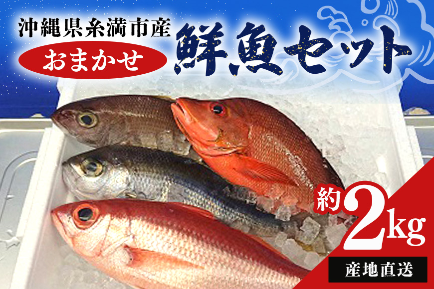 [産地直送][漁師まちの鮮魚店厳選]おまかせ鮮魚セット(約2kg)