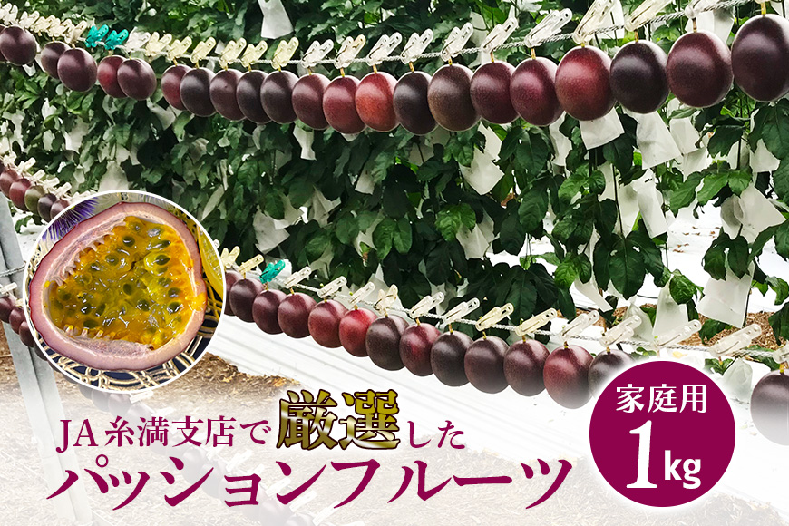 [2026年発送]JA糸満支店で厳選した「パッションフルーツ」家庭用 約1kg 5-7