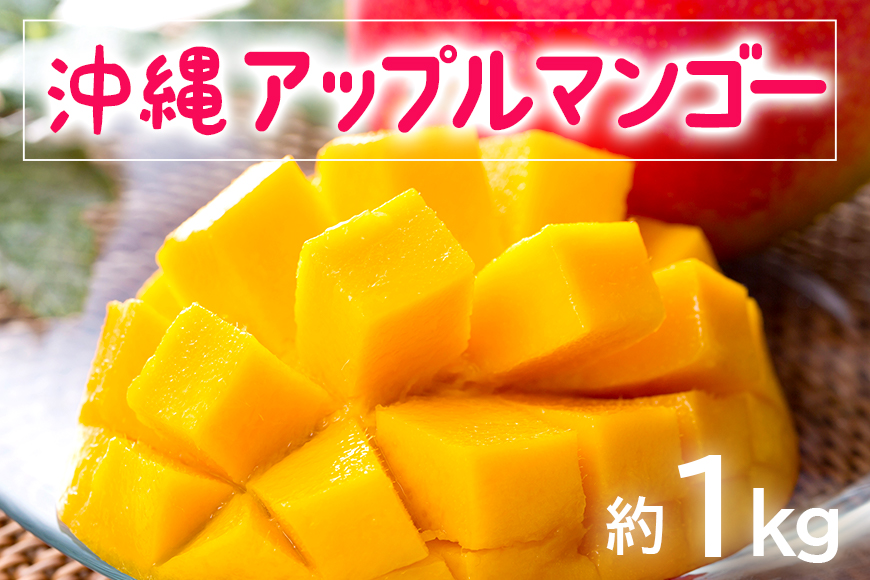 [2025年発送]お手頃「沖縄アップルマンゴー」1kg