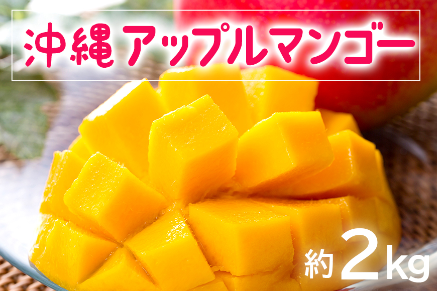 [2025年発送]お手頃「沖縄アップルマンゴー」2kg
