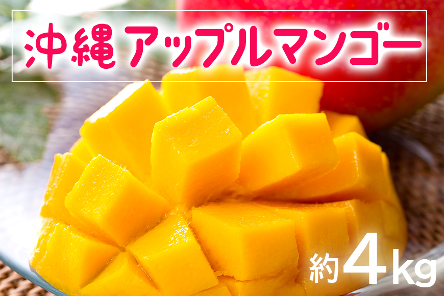 [2025年発送]お手頃「沖縄アップルマンゴー」4kg
