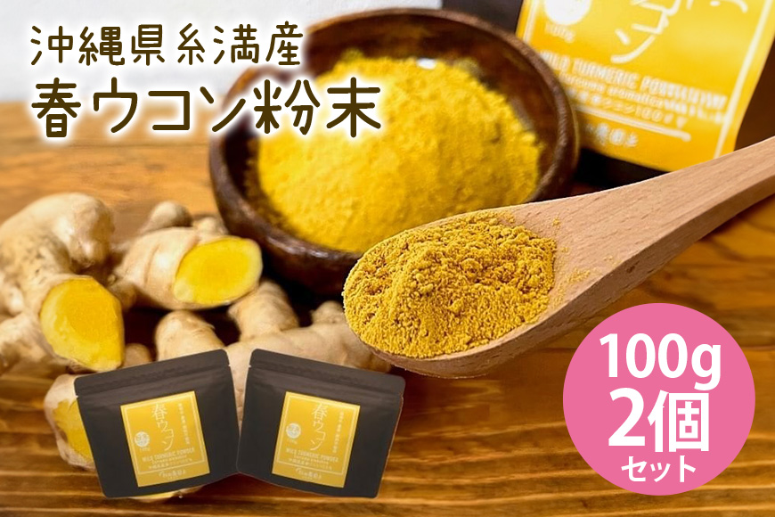 沖縄県糸満産 春ウコン粉末100g 2個セット