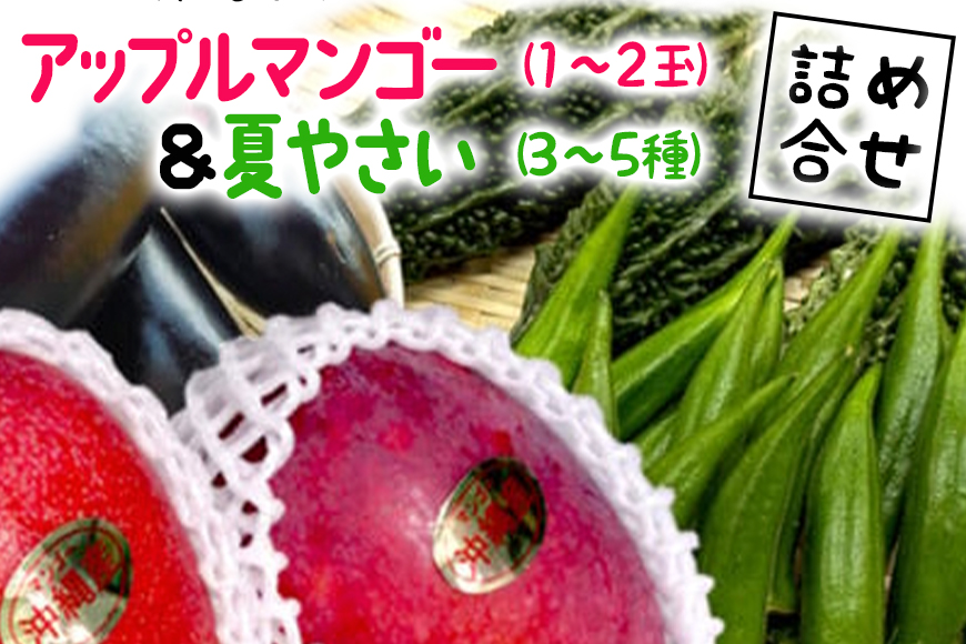 [2025年発送]沖縄産 アップルマンゴー(1〜2玉)&夏野菜(3〜5種)の詰め合わせ