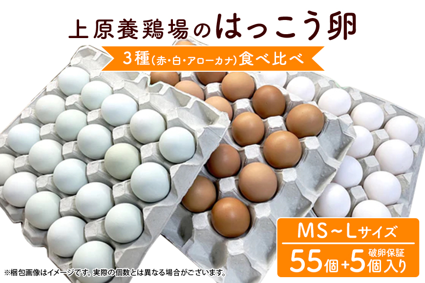 上原養鶏場のはっこう卵 3種食べ比べMS~Lサイズ 55個+破卵保障5個