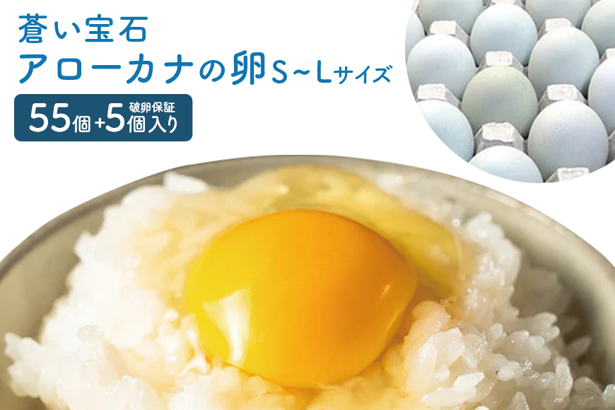 上原養鶏場のはっこう卵(アローカナ)S~Lサイズ 55個+破卵保障5個