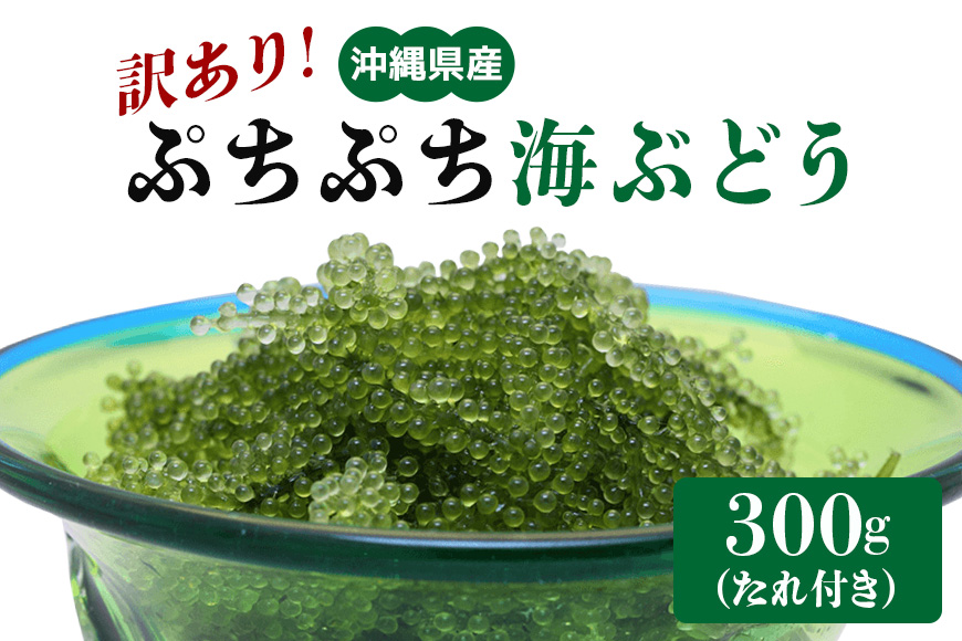 【訳あり】ぷちぷち海ぶどう300g