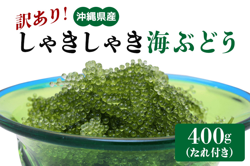 [訳あり]しゃきしゃき海ぶどう400g